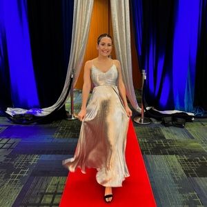 Silver Floor Length Gown!